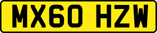MX60HZW