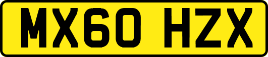 MX60HZX