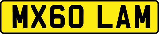 MX60LAM