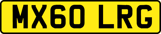 MX60LRG