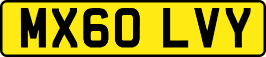 MX60LVY