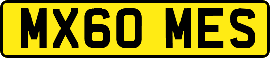 MX60MES