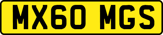 MX60MGS