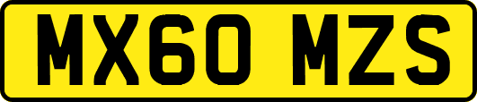 MX60MZS