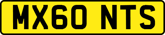 MX60NTS