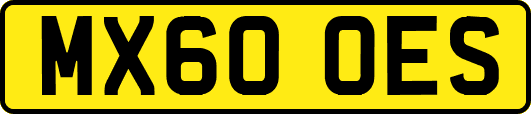 MX60OES
