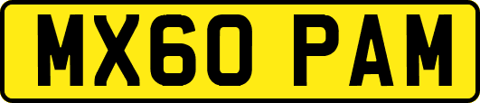 MX60PAM