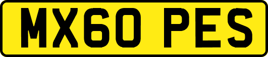 MX60PES