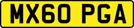 MX60PGA