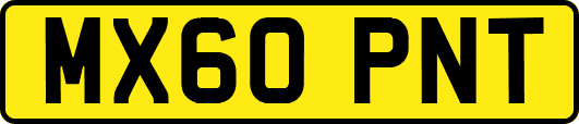 MX60PNT