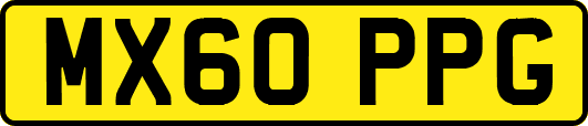 MX60PPG