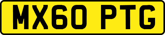 MX60PTG