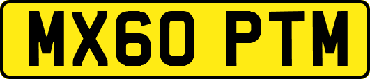 MX60PTM