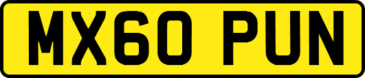 MX60PUN