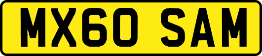 MX60SAM