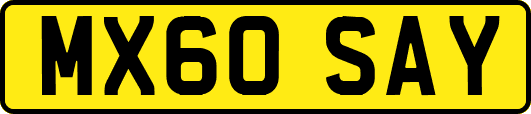 MX60SAY