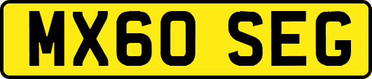 MX60SEG