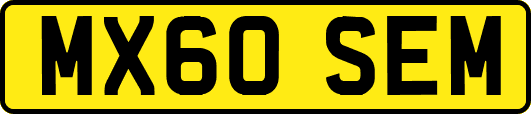 MX60SEM