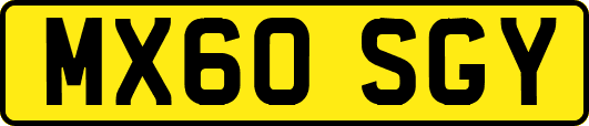 MX60SGY