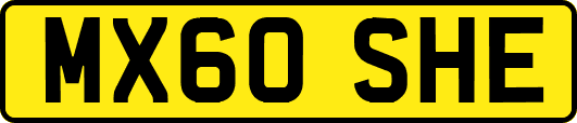 MX60SHE