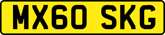MX60SKG