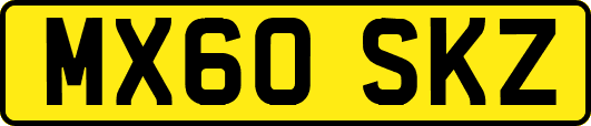 MX60SKZ