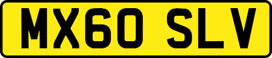 MX60SLV