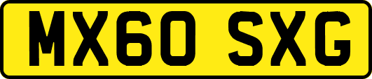 MX60SXG