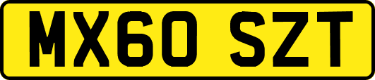 MX60SZT