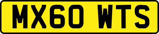 MX60WTS