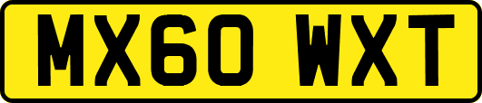 MX60WXT