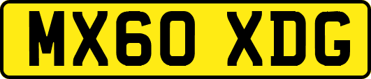 MX60XDG