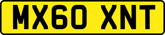 MX60XNT