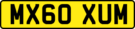 MX60XUM