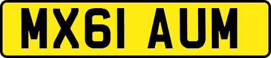 MX61AUM
