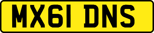 MX61DNS
