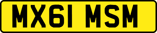 MX61MSM