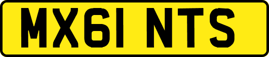 MX61NTS