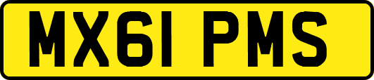 MX61PMS