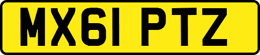 MX61PTZ