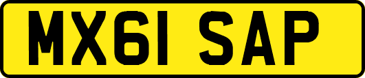 MX61SAP