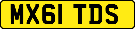 MX61TDS