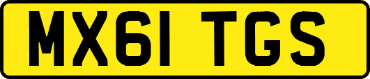 MX61TGS