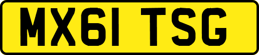 MX61TSG