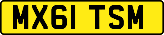 MX61TSM