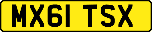 MX61TSX