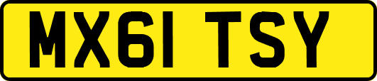 MX61TSY