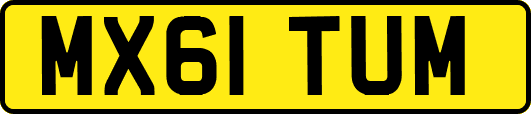 MX61TUM