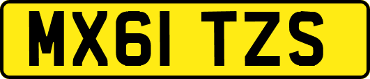 MX61TZS
