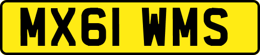 MX61WMS